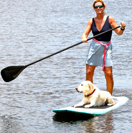 paddle board 4